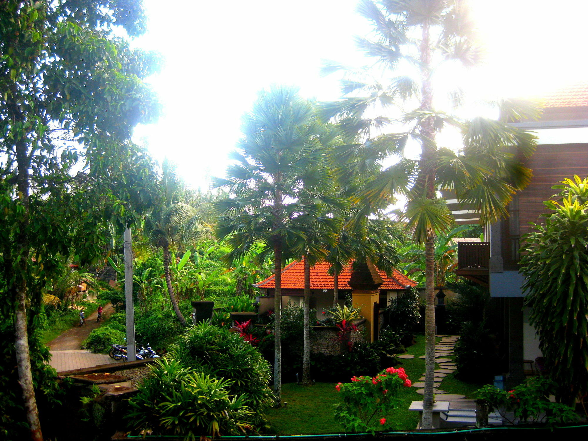 Villa Sonia Bisma Ubud Exterior foto