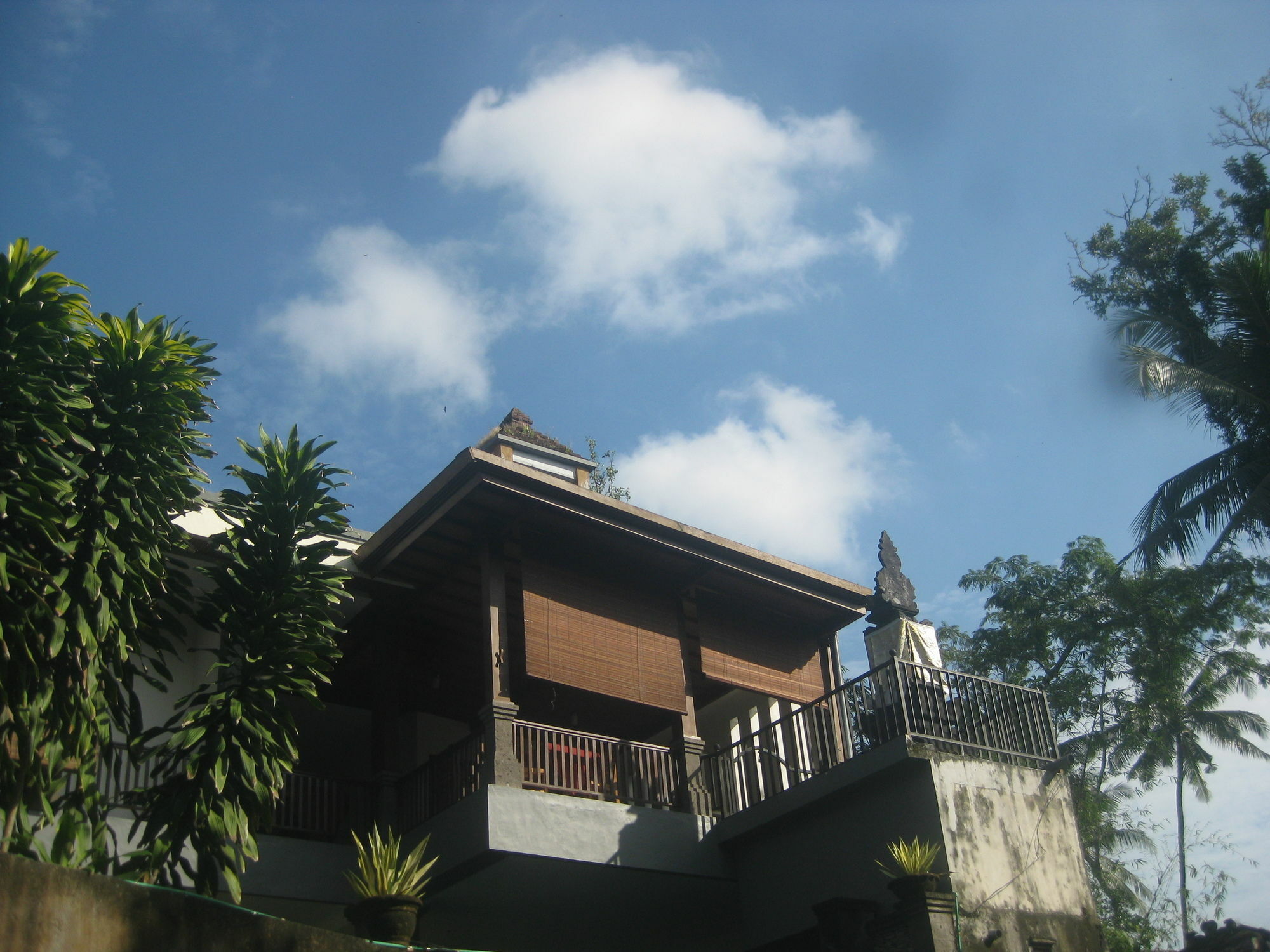 Villa Sonia Bisma Ubud Exterior foto